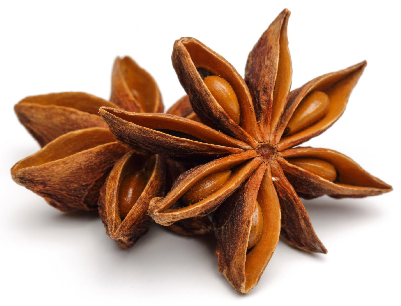 03-sternanis-popup.jpg?ts=1761938170